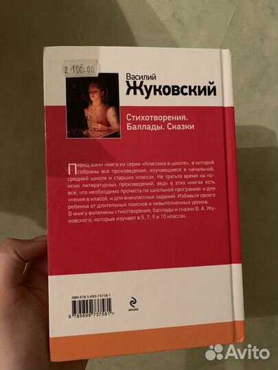 Жуковский баллады стихи сказки