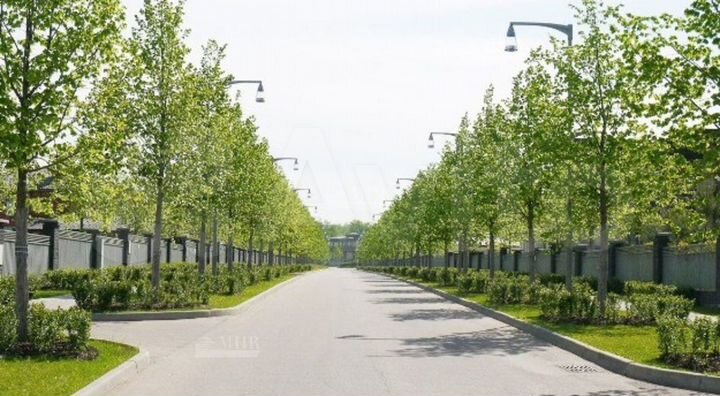 Дом 793,8 м² на участке 29,6 сот.