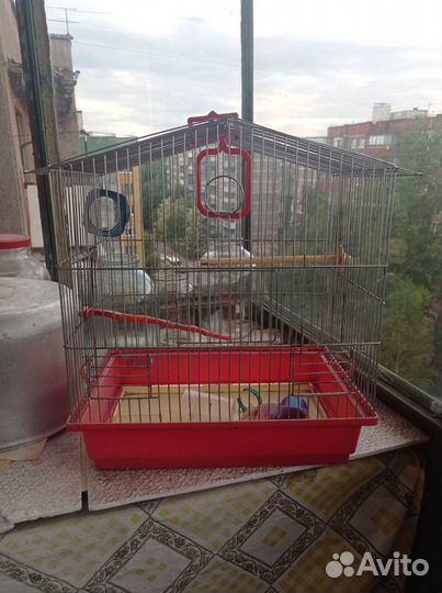 Клетка для птиц