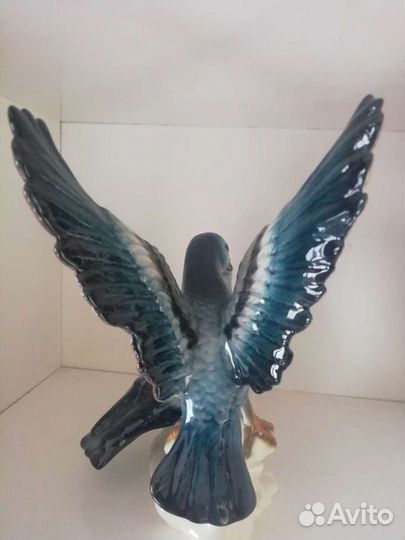 Почтовые голуби Германия