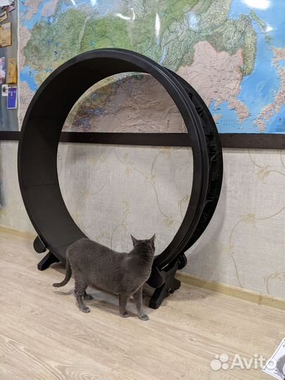 Колесо для кошек беговое диаметр 100 см