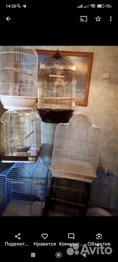 Клетки новые для попугаев