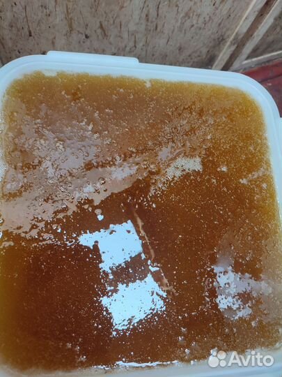 Мед разнотравье, цветочный с подсолнечником