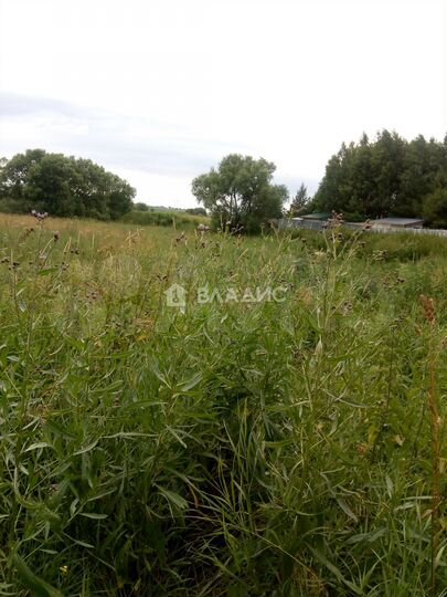 Участок 15,5 сот. (ИЖС)