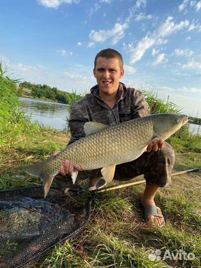 Брожёная Кукуруза (Ферментированная) (Пьяная)