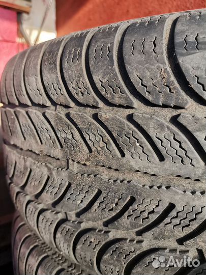 Sava Eskimo S3+ 205/55 R16