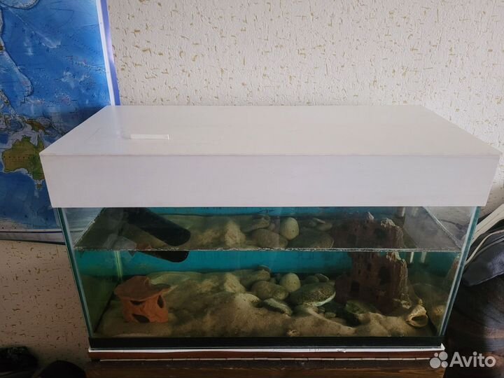 Аквариум 100л