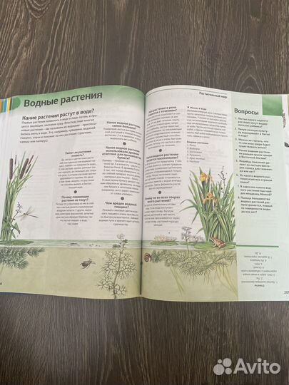 Детская энциклопедия