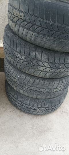 Tigar Winter 1 205/55 R16