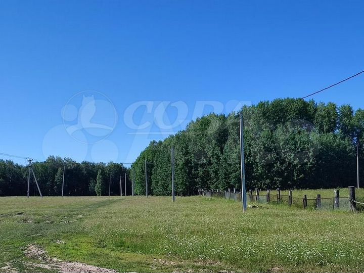 Участок 1,54 га (СНТ, ДНП)