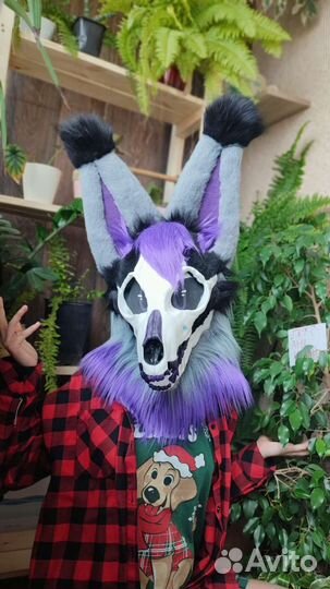 Фурсьют Скалл дог