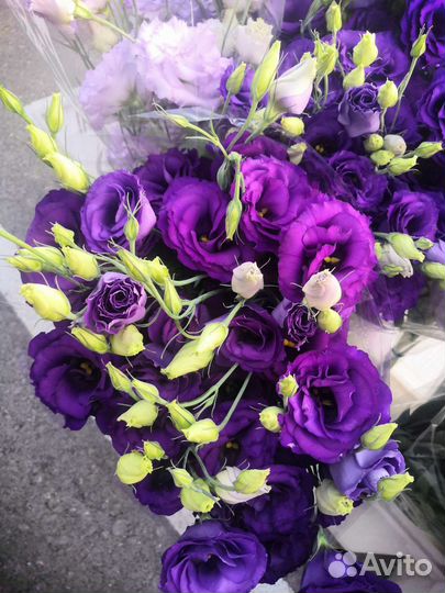 Эустома срез