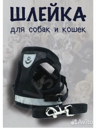 Новая разная одежда для животных