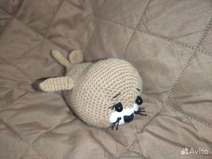 Морской котик/тюлень