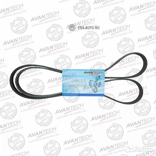 Avantech 6PK1580 Ремень поликлиновой