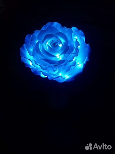 Роза, ночник, цветок, торшер, светильник