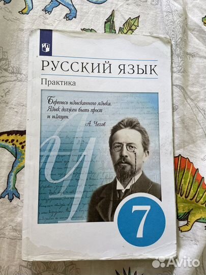 Русский язык 7 класс Пименова практика