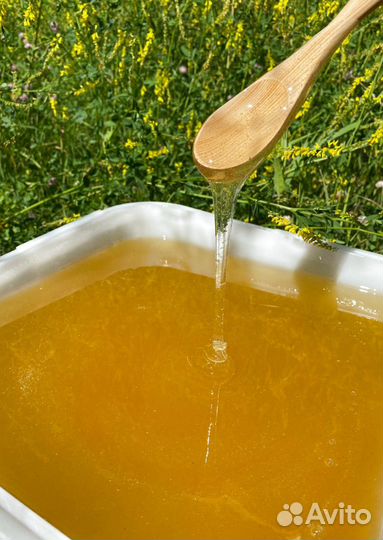 Мед цветочный оптом