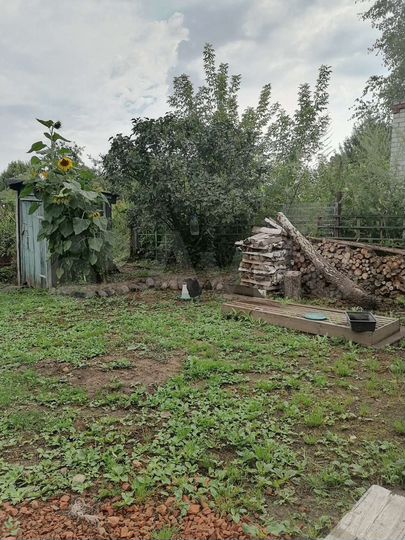 Дом 41 м² на участке 47 сот.