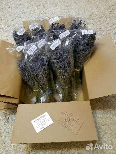 Лаванда букеты