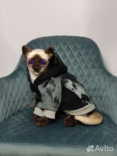 Худи для домашнего питомца