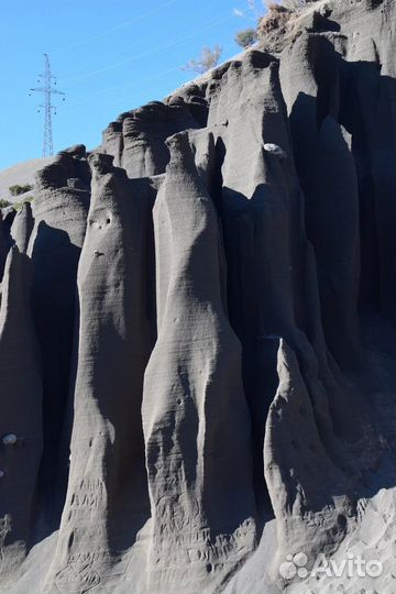 Тур 'Цветение маральника + Кату-Ярык'