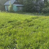 Покос травы. Борщевика. Сухостоя. Бурьяна, Красноармейск