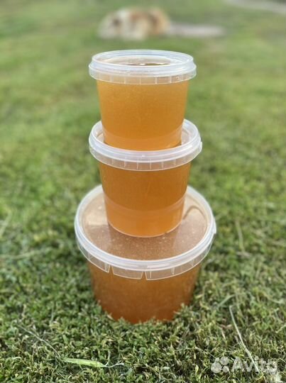 Мёд липовый 2023