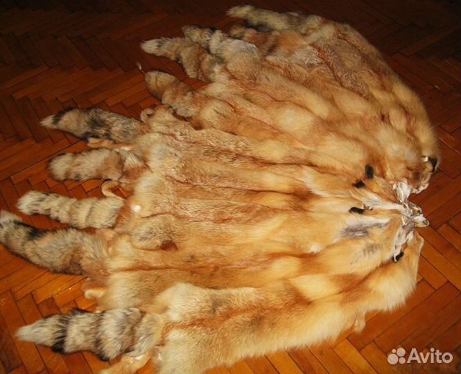 Шкуры лиса рыжая, мех лисица огневка