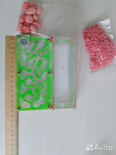 Муравьиная ферма без муравьев