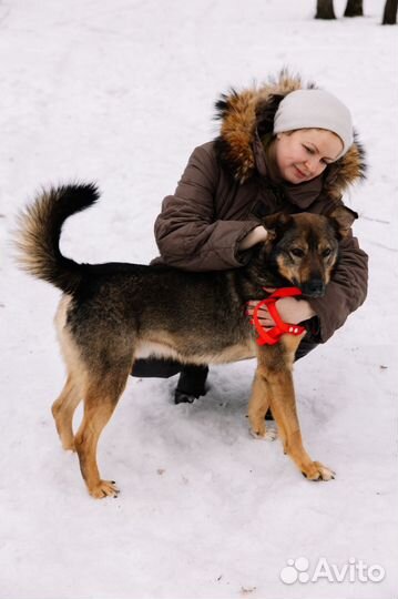 Прекрасный мальчик хочет домой