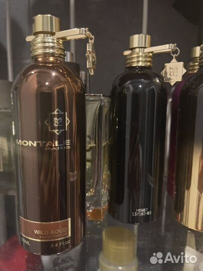 Montale wild aoud