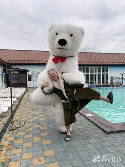 Большой белый мишка / день рождения / аниматор