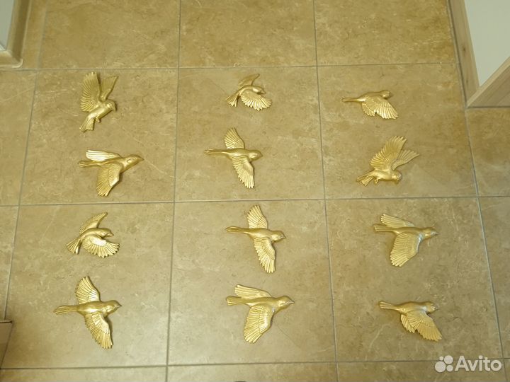 Декоративные птицы