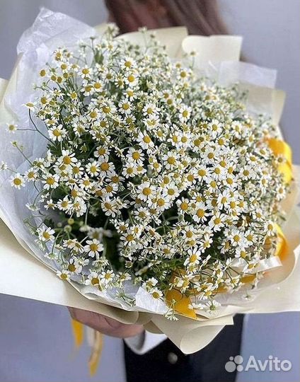 Букеты. Доставка ромашек
