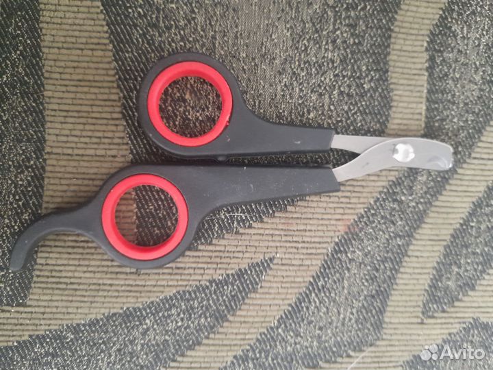 Вещи для собак