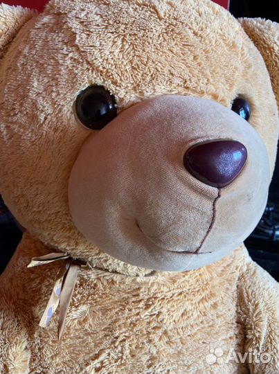 Плюшевый медведь