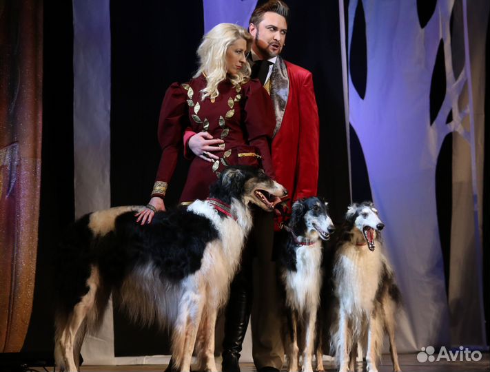 Билеты в театр Поколение 1/2