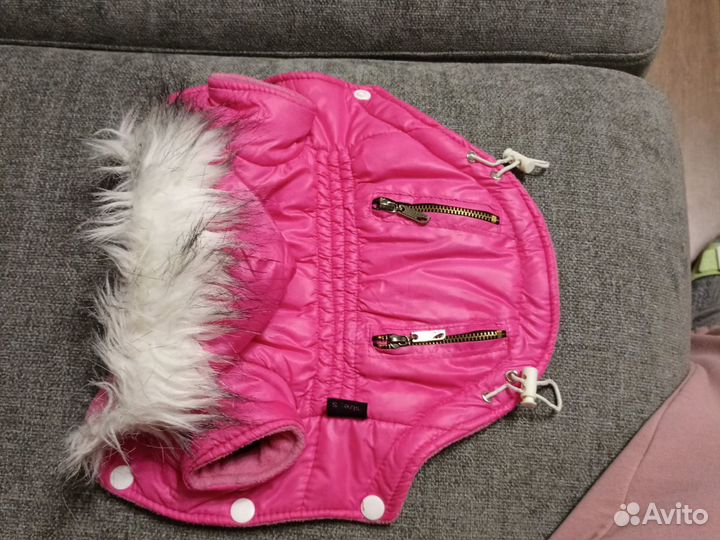 Зимняя куртка для маленьких пород собак