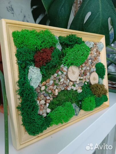Картина из стабилизированного мха