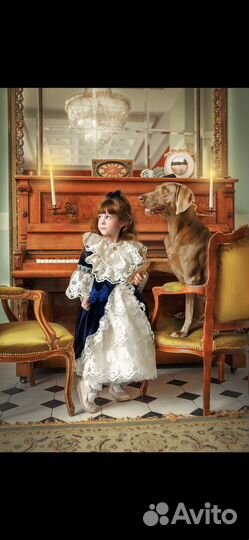 Собака для фотосессии