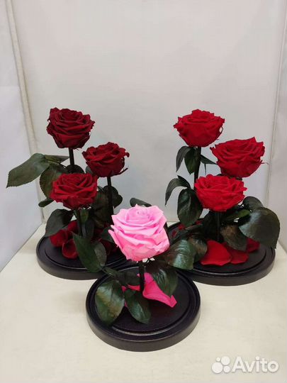 Подарок на новый год / Цветы