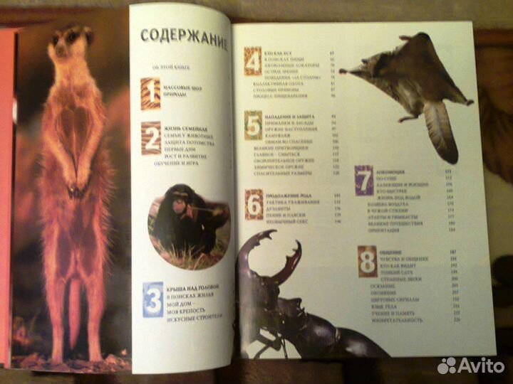 1000 чудес природы