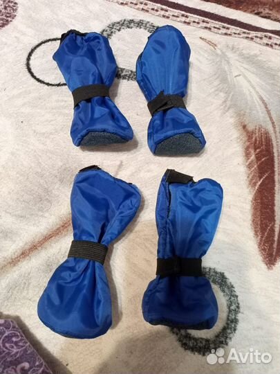 Костюм для животных