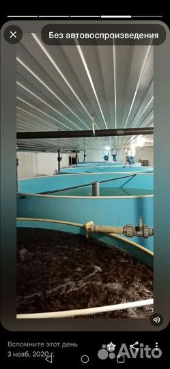 Рыбное хобби