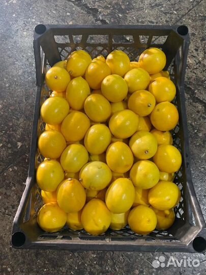 Овощи и фрукты оптом