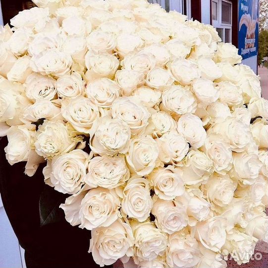 Высокие розы 150 160 170 180 190см доставка Москва