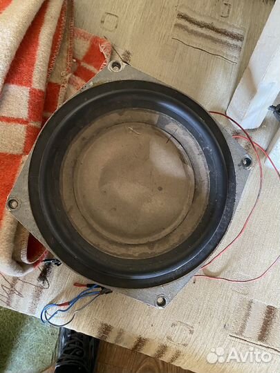 Динамики 75 гдн