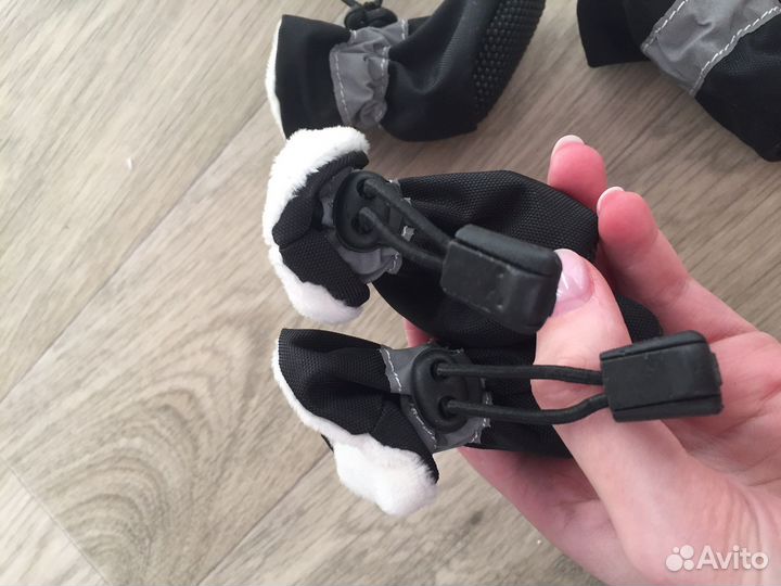 Вещи для маленьких собак