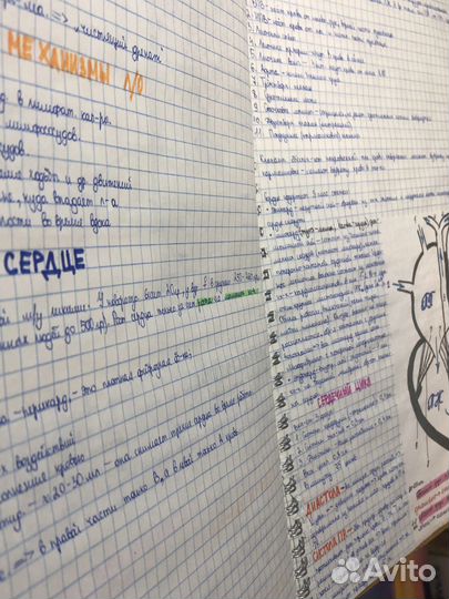 Тетради для подготовки к егэ по биологии